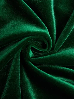 Elegant Velvet Stand Collar Maxi Gown with 3D Floral Appliqué