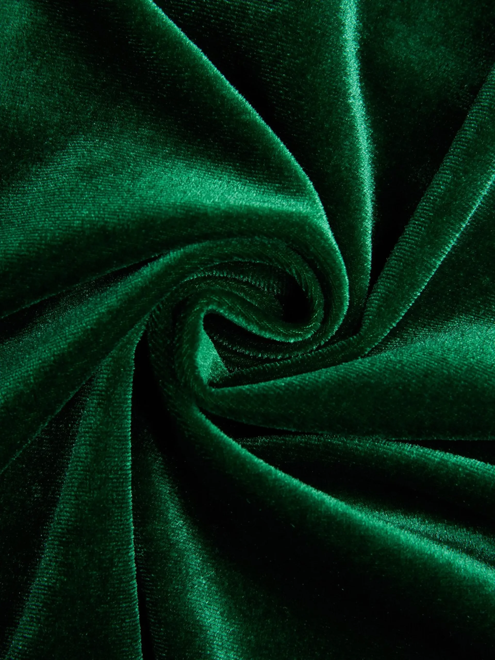 Elegant Velvet Stand Collar Maxi Gown with 3D Floral Appliqué