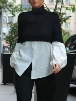 Regular Fit Color Block Urban Turtleneck Long Sleeve Shirt