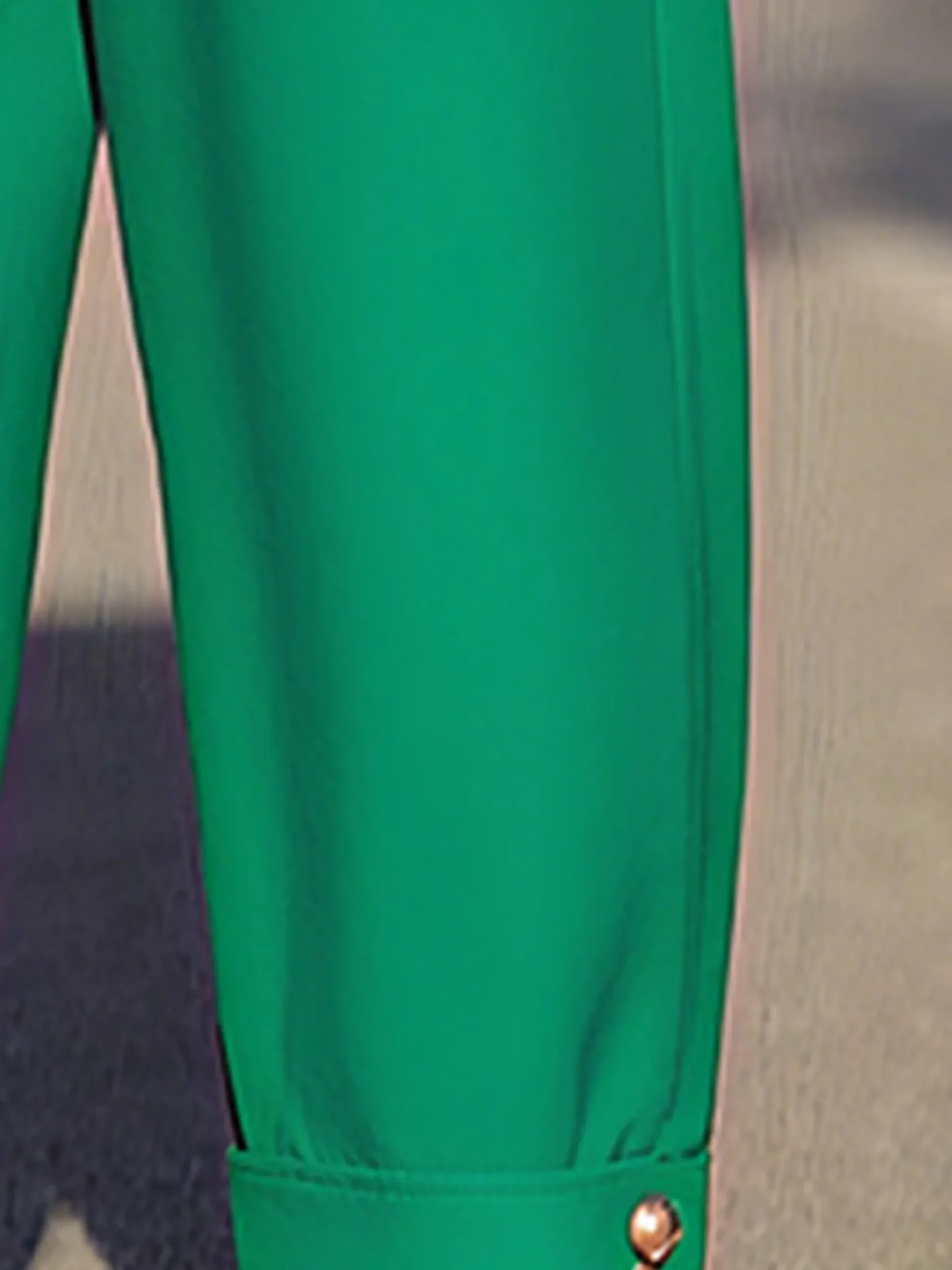 Urban Plain Buttoned Fashion Pants